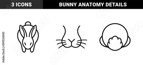 Rabbit anatomy and lagomorph silhouette illustrations for veterinary and pet care branding. Minimalist monoline rabbit head and rear view graphics.