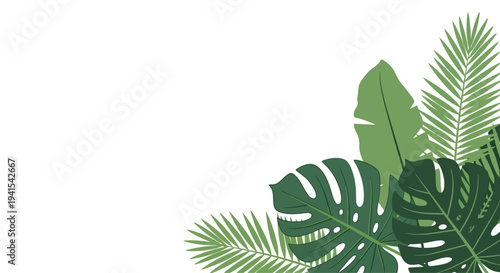 Vibrant tropical leaves, including monstera and palm fronds, create an exotic jungle-inspired border on a clean white background, perfect for summer designs and natural themes
