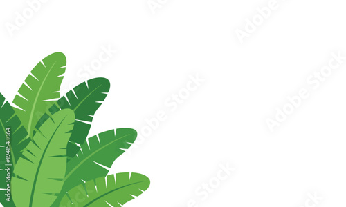 Lush green banana leaves with a vibrant tropical feel, perfect for nature-inspired designs and background elements