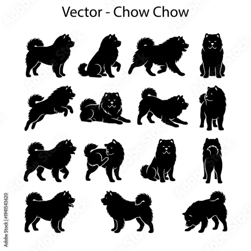 Chow Chow dog breed silhouettes. Vector collection of dog silhouettes in different poses. 