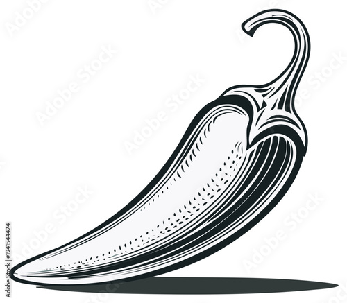 Chili pepper illustration, black and white line art, detailed design