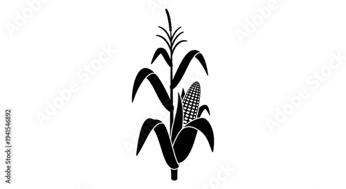 Corn Plant Silhouette with Ear of Corn.