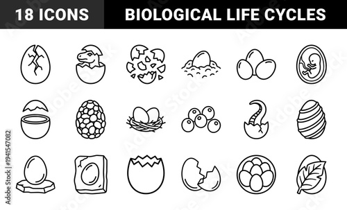 Avian and reptile embryonic development monoline pictograms. Minimalist line art depicting egg stages, hatching dinosaurs, nests, and biological life cycles.