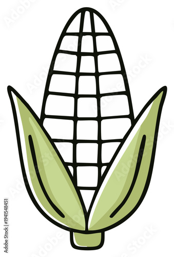 Fresh Corn Cob with Green Leaves Hand Drawn Illustration Agriculture Food Ingredient