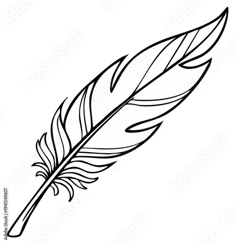 Elegant feather illustration in black and white with detailed line art drawing of a quill.
