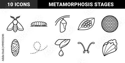 Biological life cycle and entomology research elements. Monolinear black and white diagrams featuring metamorphosis, larvae, and botanical growth stages.