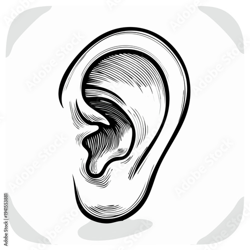 Detailed Engraving of Human Ear Anatomy in Black and White Illustration