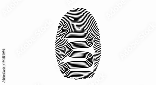 Abstract fingerprint graphic with a maze-like pattern symbolizing identity and security.