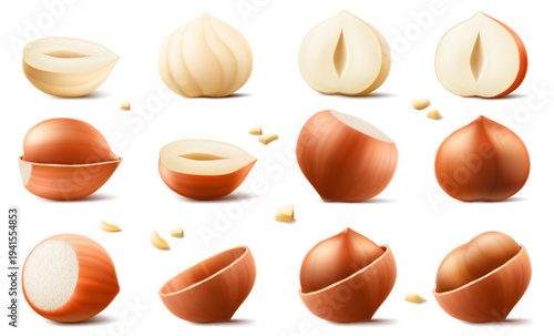 Set of realistic hazelnuts. Whole and half hazelnut isolated on white background. Peeled and unpeeled nuts. Hazelnut kernels are ripe and tasty, a source of protein. 3d vector illustration.
