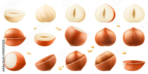 Set of realistic hazelnuts. Whole and half hazelnut isolated on white background. Peeled and unpeeled nuts. Hazelnut kernels are ripe and tasty, a source of protein. 3d vector illustration.