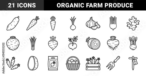 Root vegetable and organic farming line art featuring carrots, onions, beets, and gardening tools for agricultural branding and menu design.