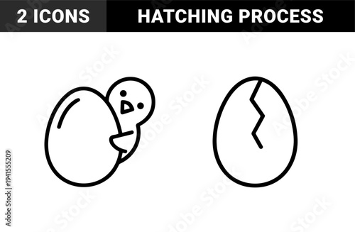 Avian life cycle and hatching process symbols for educational materials. Minimalist monoline pictograms featuring a cracked egg and a newborn chick.