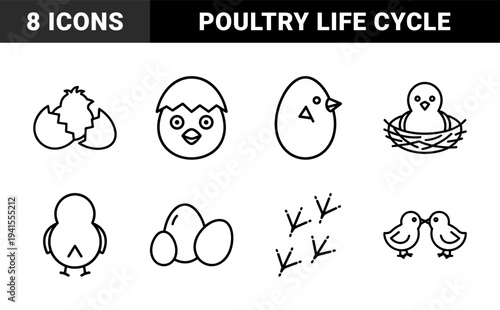Avian life cycle and poultry farming monoline elements. Minimalist geometric pictograms featuring hatching eggs, newborn chicks, and bird tracks.