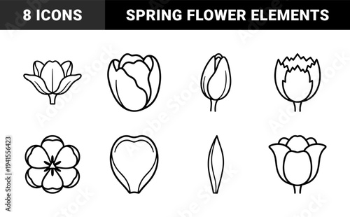 Tulip growth stages and botanical floral elements for spring branding. Technical monoline line art featuring blooming buds, petals, and leaves.