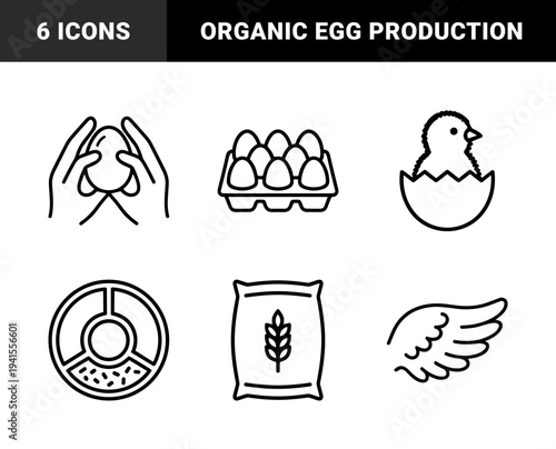 Poultry farming and organic egg production line art elements for agricultural branding. Minimalist monoline pictograms featuring hatching chicks, grain sacks, and fresh nests.