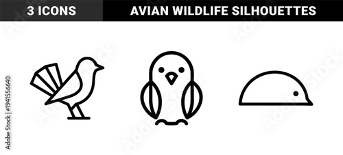 Avian wildlife and bird watching enthusiasts minimalist monolinear graphics. Stylized geometric garden birds featuring sparrow and chickadee silhouettes for nature branding.