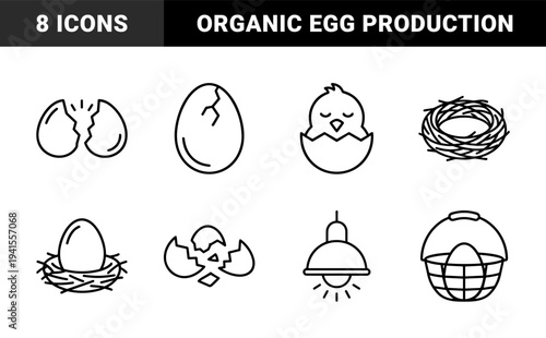 Aviculture and poultry farming elements for organic agricultural branding. Minimalist monoline pictograms featuring hatching eggs, newborn chicks, and bird nesting concepts.