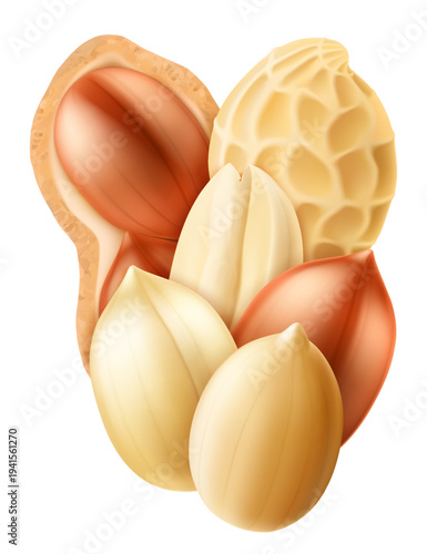Shelled and unshelled peanuts, isolated on a white background. Healthy food with protein. For packaging with peanut butter, a mixture of nuts. Realistic vector 3D illustration