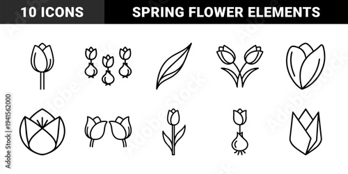 Tulip botanical line art and spring garden elements for floral branding. Minimalist monoline plant symbols featuring bulbs, petals, and blooming flowers.