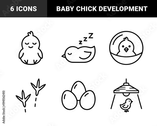 Avian poultry life cycle and farming monoline elements. Minimalist black line art featuring baby chicks, brooding heat lamps, eggs, and fledgling nesting.