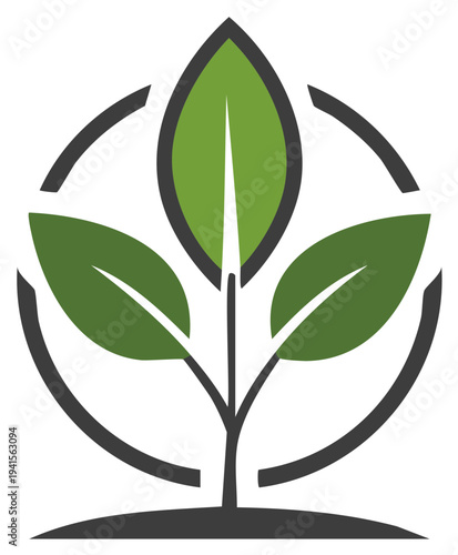 Green plant sapling with three leaves in protective circle representing natural growth and eco friendly sustainability