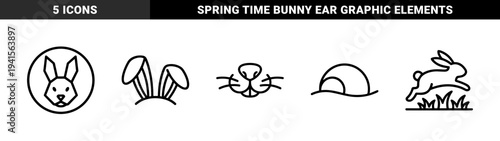 Rabbit and hare life cycle and anatomy line art. Minimalist monoline pictograms for wildlife education, veterinary branding, and organic product packaging.
