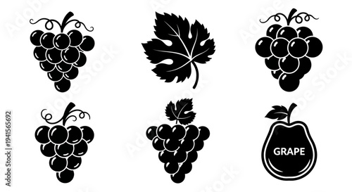 Set of grape icons, including grape bunches with leaves and a single stylized grape fruit icon with text
