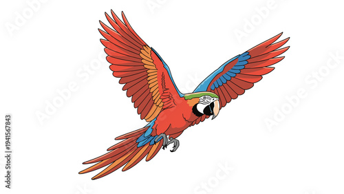 Colorful scarlet macaw parrot flying with spread wings, vibrant tropical bird illustration isolated on a plain white background.