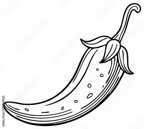 Single stylized chili pepper outline illustration with simplistic design and monochrome color, a culinary ingredient for food preparation