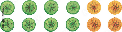 Tree top view, circular foliage, stylized canopy, green and orange trees, landscape design, vector vegetation, seasonal texture, nature symbols, garden planning, illustration