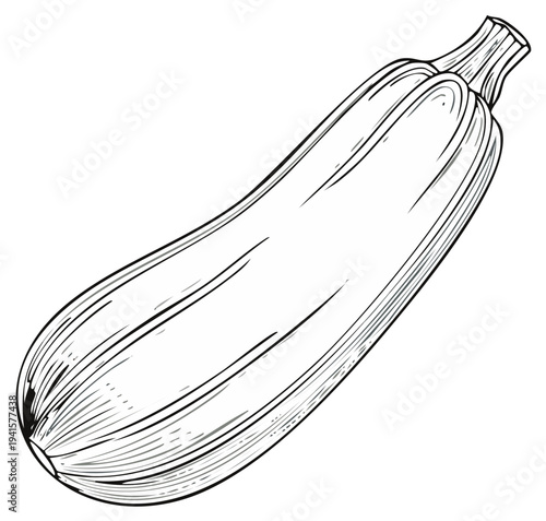 Black and white illustration of a zucchini with detailed lines, on white background.