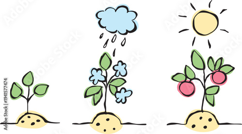 Growth of a young plant: from flowering to fruiting, nourished by rain and sunlight, bold grunge curved lines