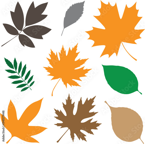 Autumn Leaves Silhouettes Collection - Flat Vector Nature Elements for Fall Design
