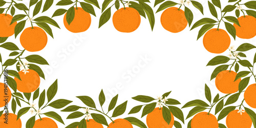 Orange fruit banner with whole citrus fruits on branch, green leaves and flowers on white background. Perfect for recipes, menus, stationery and summer design. Flat vector illustration.