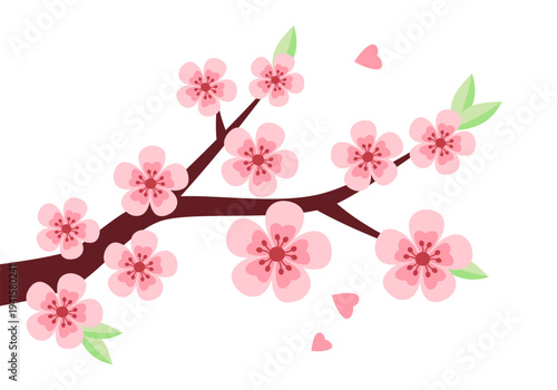Sakura, cherry blossom tree branch isolated vector illustration in simple flat style. Spring clipart design element. Springtime bloom concept.
