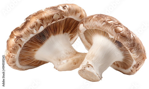 Portobello Mushrooms Underside Gills Texture Detail Isolated on transparent background