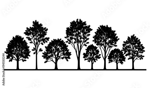 Natural Ash Tree Forest Silhouette Landscape Vector Illustration Isolated on White
Keywords (30):