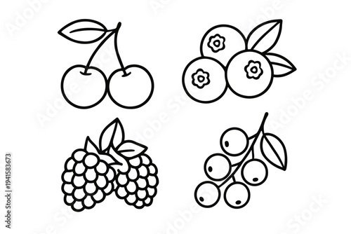 Berry icons set including cherries, blueberries, raspberries and currants for recipe cards and packaging flat vector icon