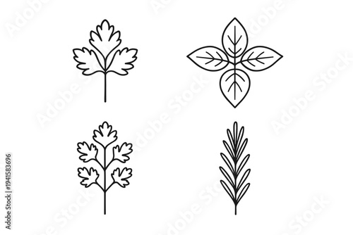 Four simple herb leaf line icons for kitchen labels and organic food design flat vector icon