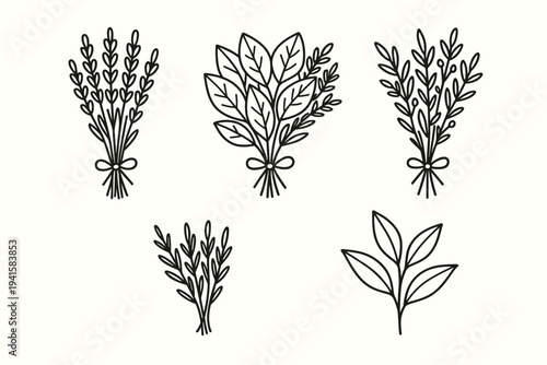 Five simple hand-drawn herb and leaf bunches in black line art for botanical label or floral background flat vector icon
