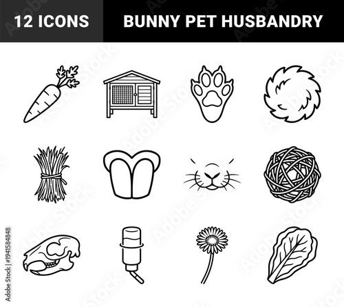 Rabbit care and lagomorph husbandry symbols for pet ownership education. Monoline line art featuring hutch, hay, foraging, and anatomy graphics.