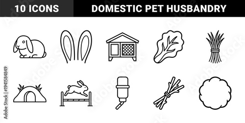 Rabbit care and domestic leporidae husbandry elements for veterinary infographics. Minimalist monoline pictograms featuring hutch housing and nutrition concepts.