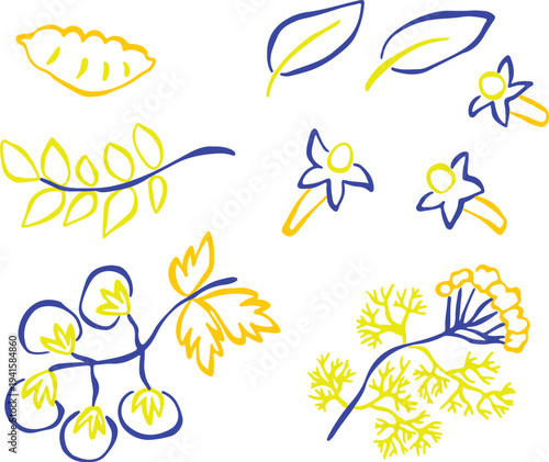 Handmade outline of spices with vivid, sketchy yellow and blue lines. Cloves, tomato, bay leaf, dill. Fresh and creative culinary herb illustration. Isolated colorful botanical sketch.