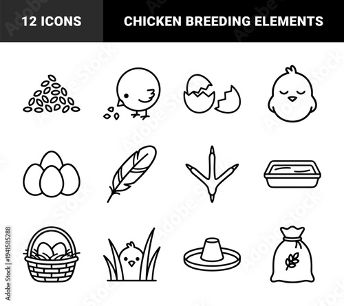 Poultry farming and chicken life cycle monoline elements. Minimalist black line art featuring chicks, eggs, feed, and agricultural equipment.