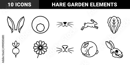 Rabbit life cycle and garden nature elements in bold monoline style. Geometric black and white graphics featuring hares, carrots, and lettuce for biology education.