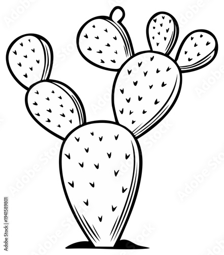 Illustration of a prickly pear cactus with pads and spines in a black and white line drawing