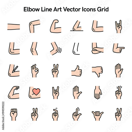 Human Elbow Anatomy Illustration Isolated on White Background