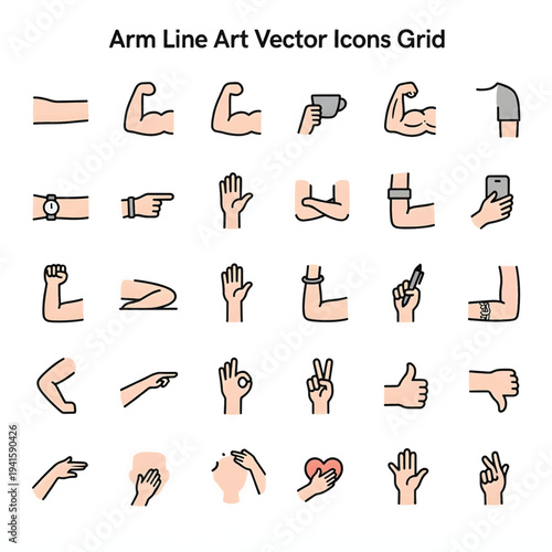 Human Arm Anatomy Illustration Isolated on White Background