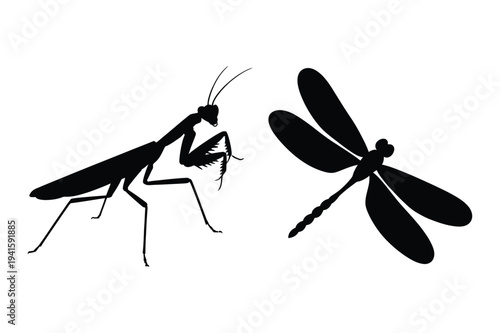 Praying mantis and dragonfly silhouette vector art