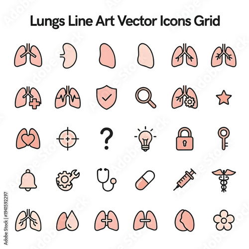 Human Lungs Anatomy Illustration with Respiratory System Medical Diagram